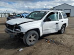 2002 Chevrolet Trailblazer  White vin: 1GNDS13S322358948