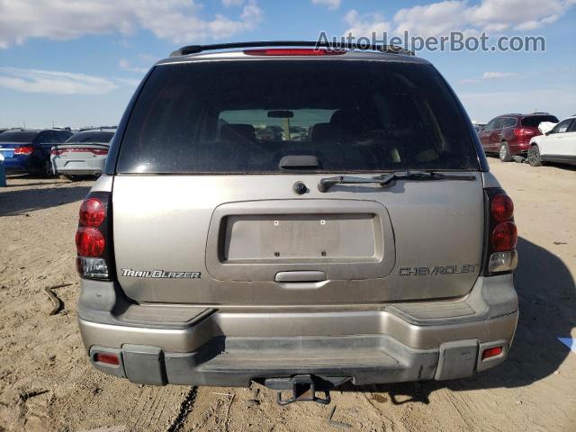 2002 Chevrolet Trailblazer  Silver vin: 1GNDS13S322433129