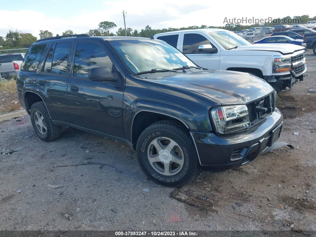 2006 Chevrolet Trailblazer Ls Черный vin: 1GNDS13S362163048