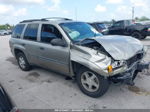 2002 Chevrolet Trailblazer Lt Желто-коричневый vin: 1GNDS13S422144132