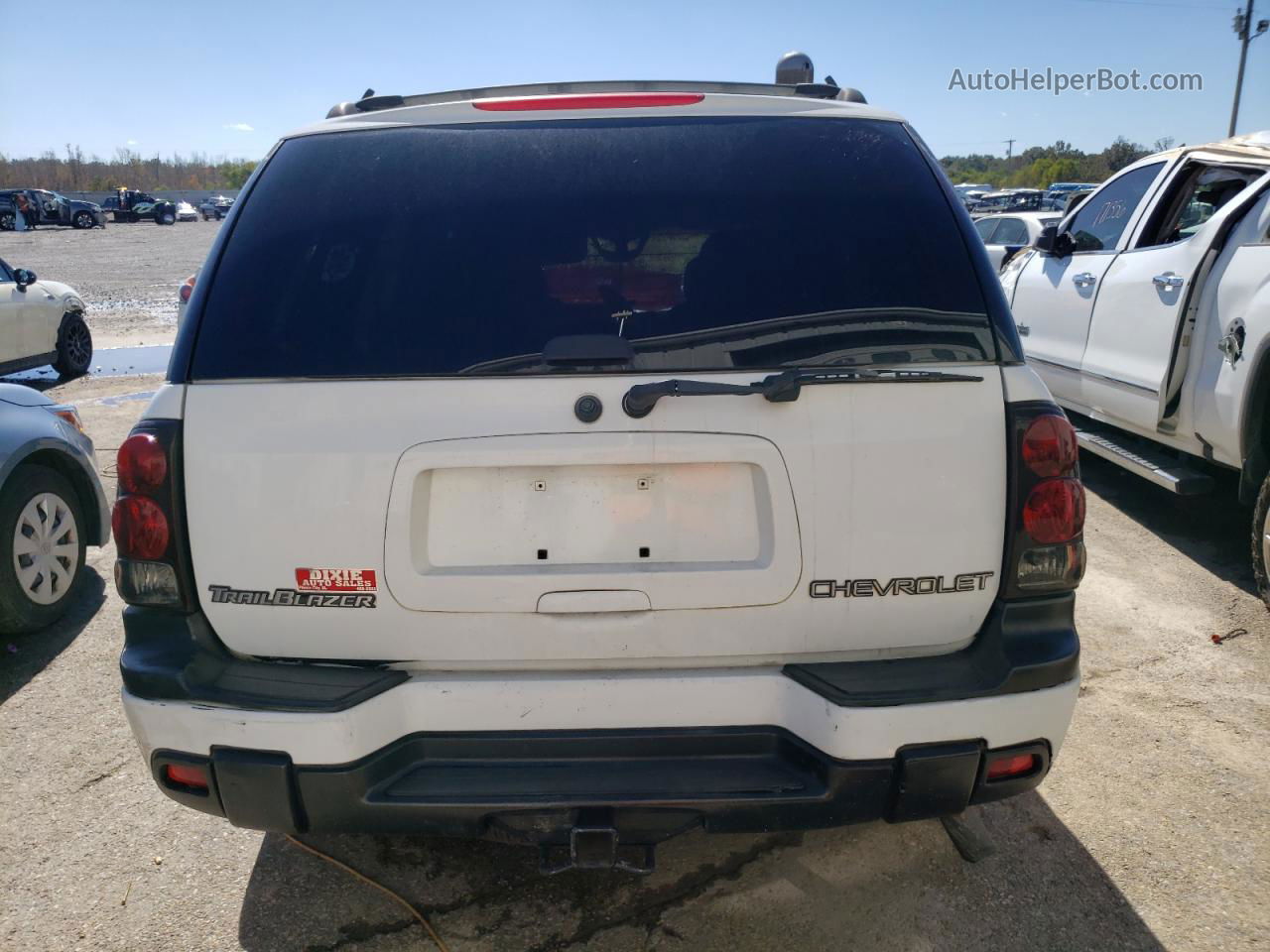 2002 Chevrolet Trailblazer  White vin: 1GNDS13S422314506