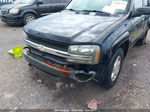 2002 Chevrolet Trailblazer Ls Black vin: 1GNDS13S422325361