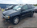 2002 Chevrolet Trailblazer Ls Black vin: 1GNDS13S422325361