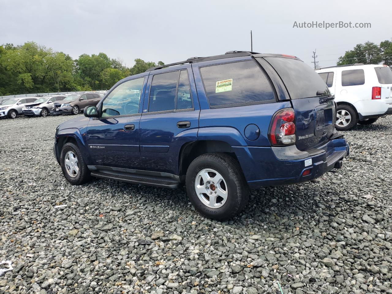 2002 Chevrolet Trailblazer  Blue vin: 1GNDS13S422355654