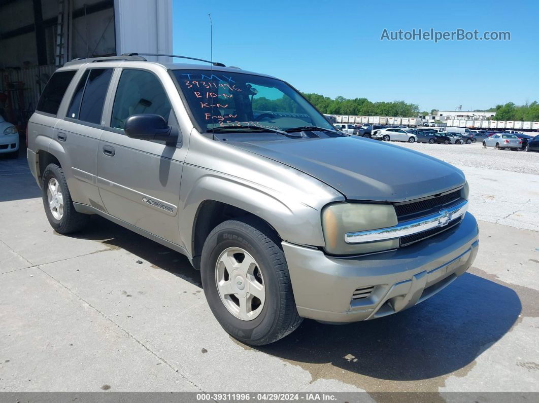 2002 Chevrolet Trailblazer Ls Бежевый vin: 1GNDS13S422416193