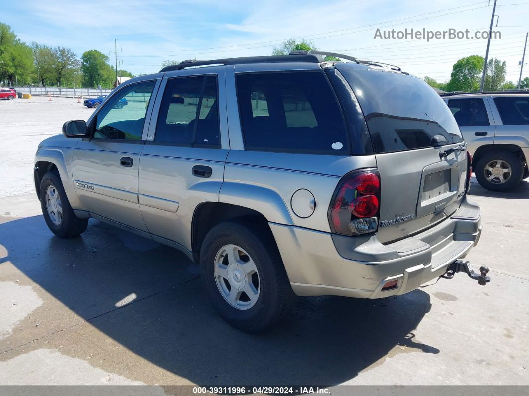 2002 Chevrolet Trailblazer Ls Бежевый vin: 1GNDS13S422416193