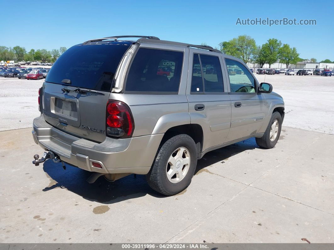 2002 Chevrolet Trailblazer Ls Бежевый vin: 1GNDS13S422416193