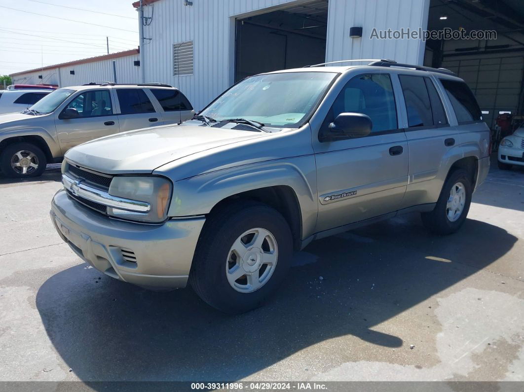 2002 Chevrolet Trailblazer Ls Бежевый vin: 1GNDS13S422416193