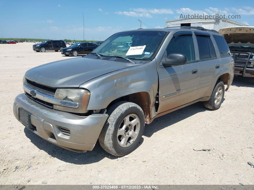 2002 Chevrolet Trailblazer Ls Brown vin: 1GNDS13S422456743