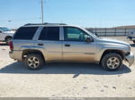 2002 Chevrolet Trailblazer Ls Brown vin: 1GNDS13S422456743