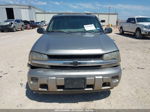 2002 Chevrolet Trailblazer Ls Brown vin: 1GNDS13S422456743