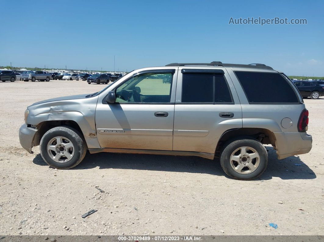 2002 Chevrolet Trailblazer Ls Brown vin: 1GNDS13S422456743