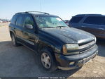 2002 Chevrolet Trailblazer Lt Black vin: 1GNDS13S422460159