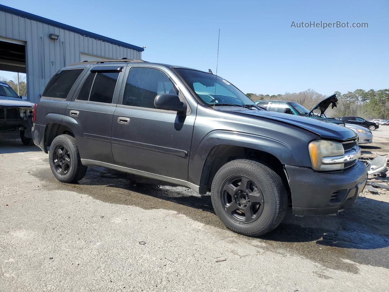 2006 Chevrolet Trailblazer Ls Gray vin: 1GNDS13S462185544