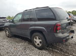 2006 Chevrolet Trailblazer Ls Black vin: 1GNDS13S462263210