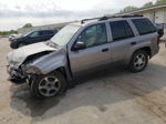 2006 Chevrolet Trailblazer Ls Gray vin: 1GNDS13S462350962