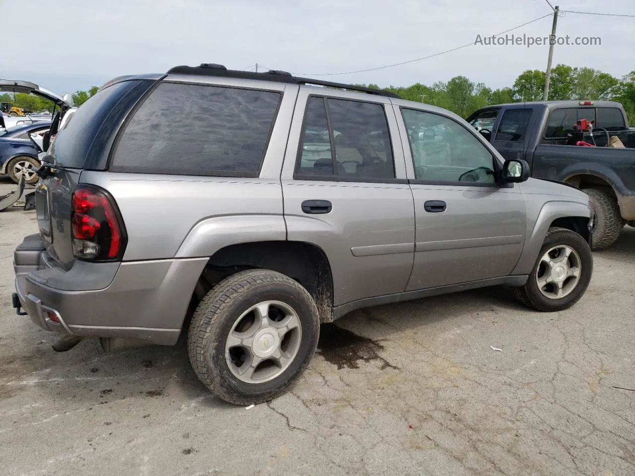 2006 Chevrolet Trailblazer Ls Gray vin: 1GNDS13S462350962