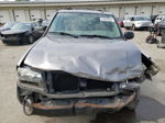 2006 Chevrolet Trailblazer Ls Gray vin: 1GNDS13S462350962