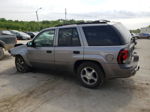 2006 Chevrolet Trailblazer Ls Gray vin: 1GNDS13S462350962