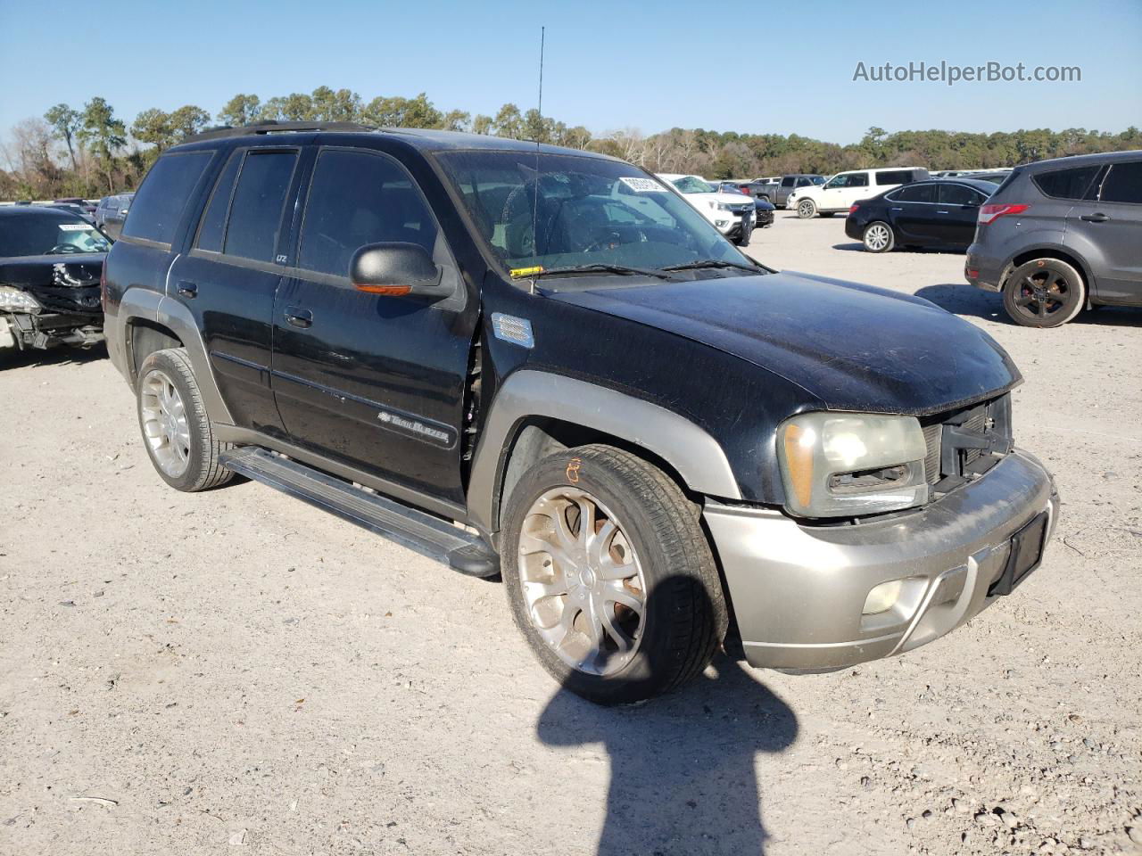 2002 Chevrolet Trailblazer  Черный vin: 1GNDS13S522362497