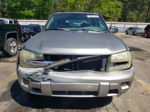 2002 Chevrolet Trailblazer  Золотой vin: 1GNDS13S522383317