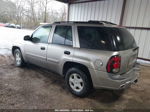 2002 Chevrolet Trailblazer Ls Silver vin: 1GNDS13S522463023