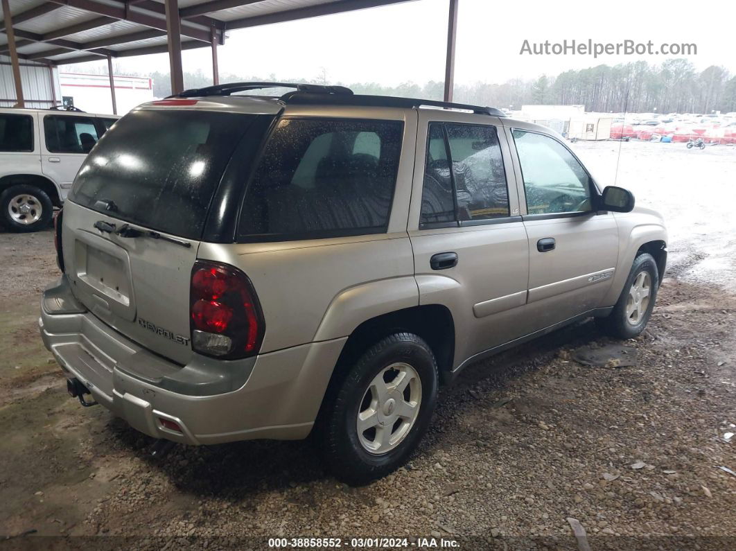 2002 Chevrolet Trailblazer Ls Silver vin: 1GNDS13S522463023