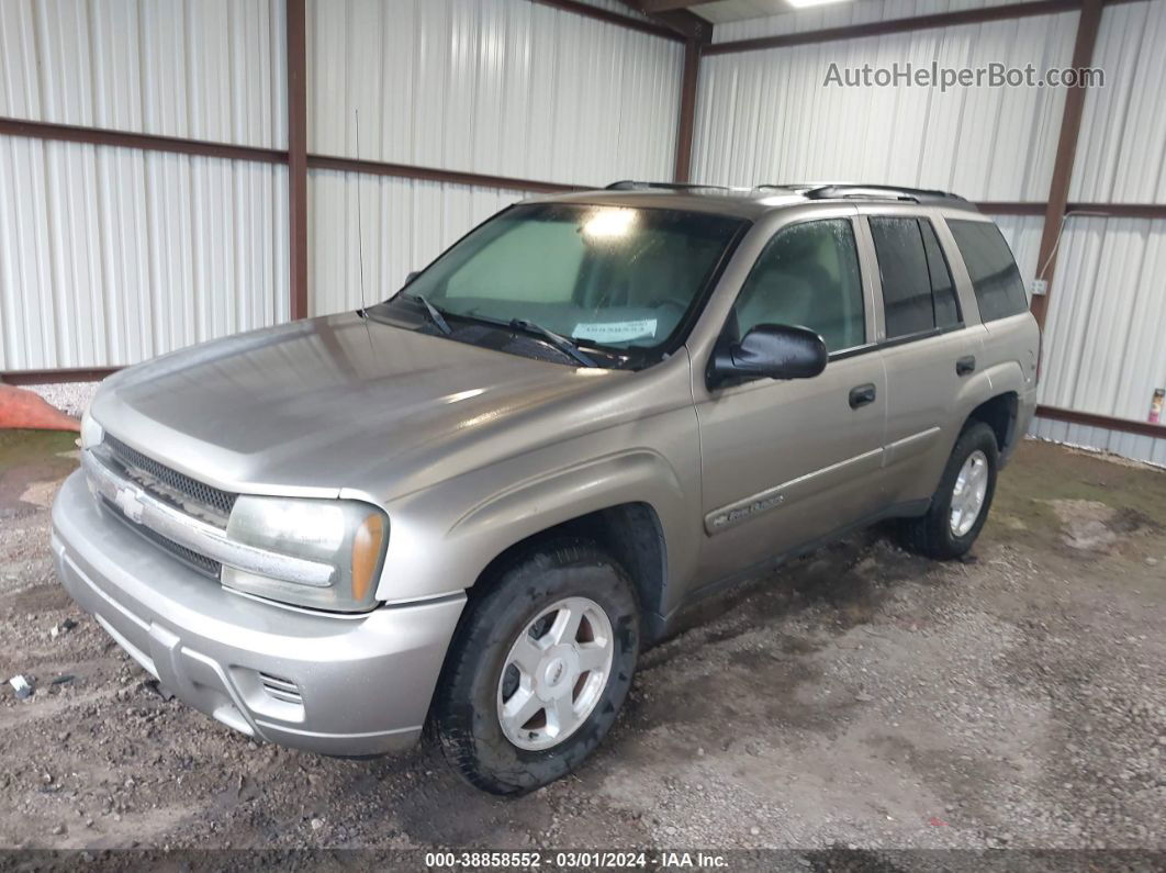 2002 Chevrolet Trailblazer Ls Silver vin: 1GNDS13S522463023