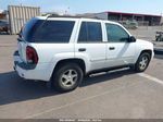 2006 Chevrolet Trailblazer Ls White vin: 1GNDS13S562105555