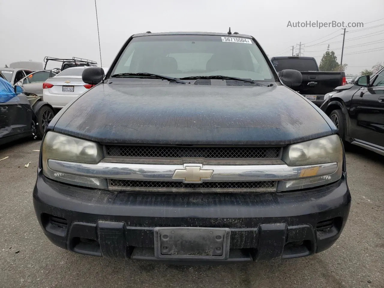 2006 Chevrolet Trailblazer Ls Blue vin: 1GNDS13S562224223