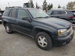 2006 Chevrolet Trailblazer Ls Синий vin: 1GNDS13S562224223