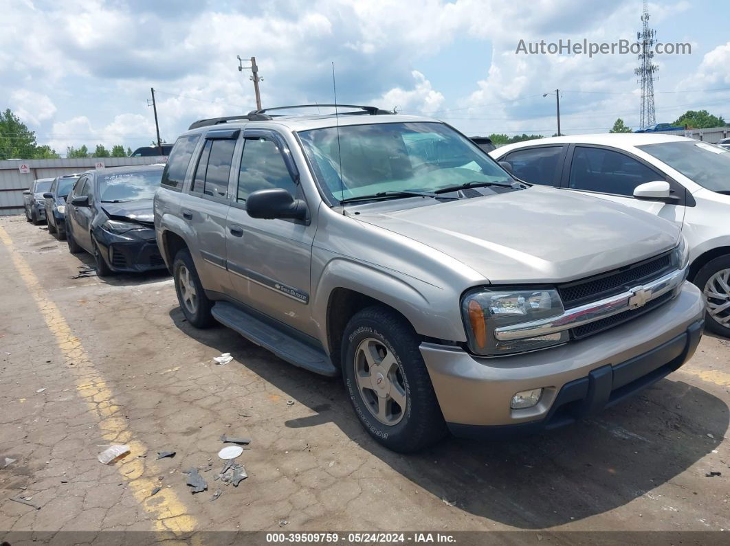 2002 Chevrolet Trailblazer Lt Gray vin: 1GNDS13S622105431