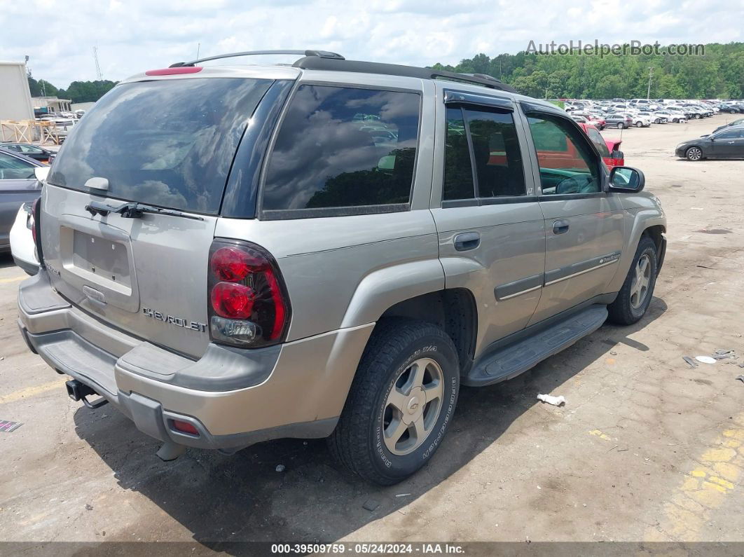 2002 Chevrolet Trailblazer Lt Gray vin: 1GNDS13S622105431