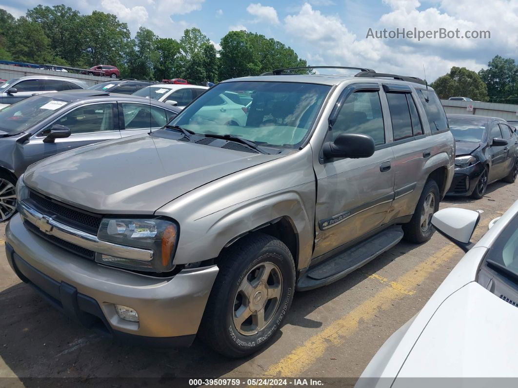 2002 Chevrolet Trailblazer Lt Gray vin: 1GNDS13S622105431