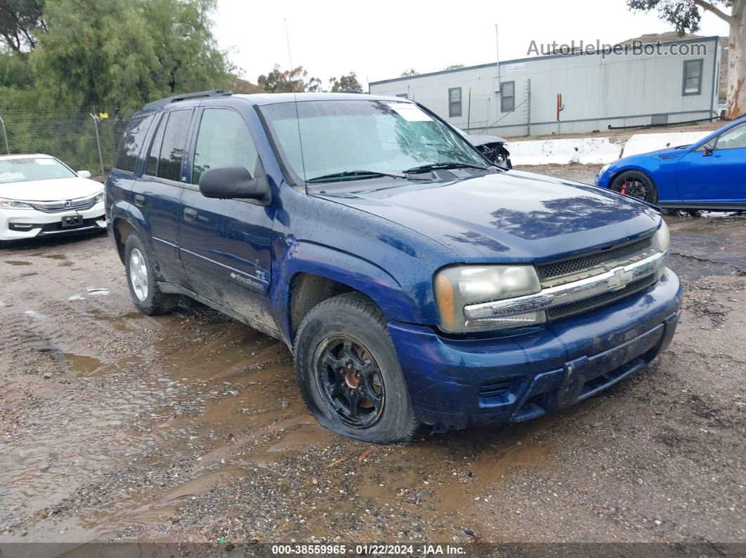 2002 Chevrolet Trailblazer Ls Синий vin: 1GNDS13S622277250