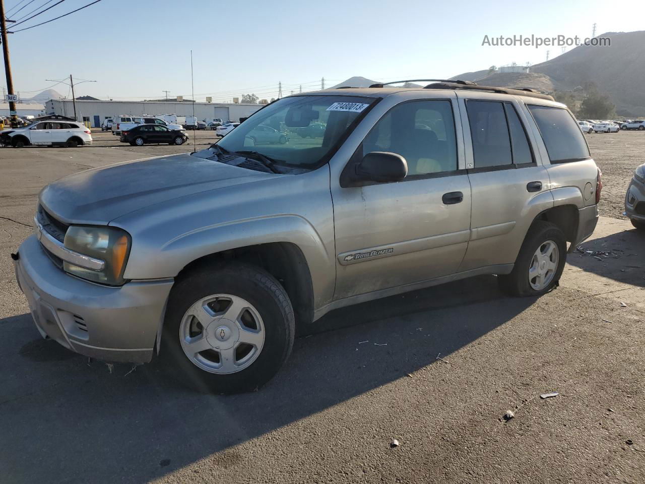 2002 Chevrolet Trailblazer  Желто-коричневый vin: 1GNDS13S622318881