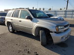 2002 Chevrolet Trailblazer  Tan vin: 1GNDS13S622318881