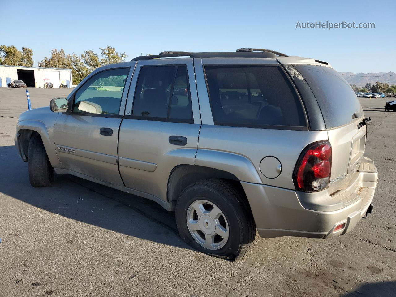 2002 Chevrolet Trailblazer  Желто-коричневый vin: 1GNDS13S622318881