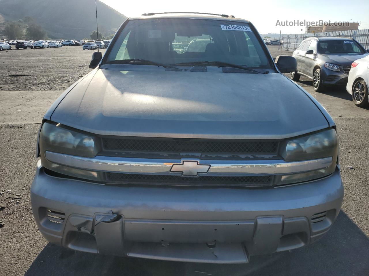 2002 Chevrolet Trailblazer  Tan vin: 1GNDS13S622318881