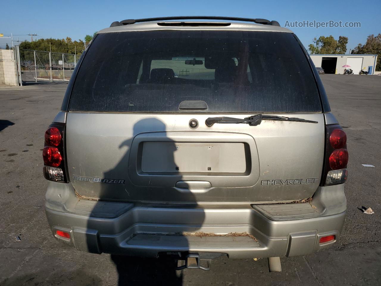 2002 Chevrolet Trailblazer  Tan vin: 1GNDS13S622318881