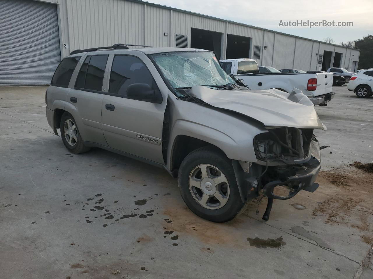 2002 Chevrolet Trailblazer  Золотой vin: 1GNDS13S622327662