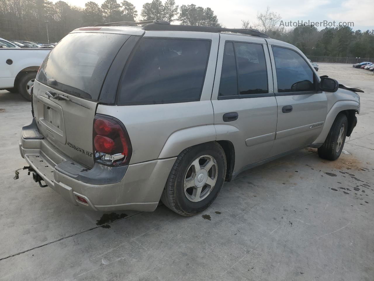 2002 Chevrolet Trailblazer  Золотой vin: 1GNDS13S622327662