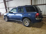 2002 Chevrolet Trailblazer  Blue vin: 1GNDS13S622395038