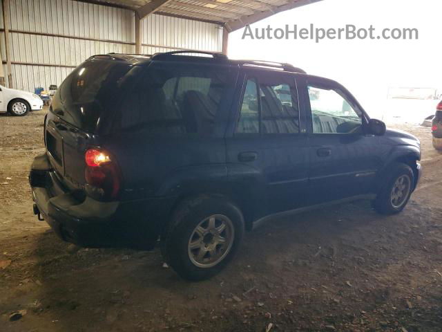 2002 Chevrolet Trailblazer  Blue vin: 1GNDS13S622395038