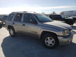 2002 Chevrolet Trailblazer  Silver vin: 1GNDS13S622495544