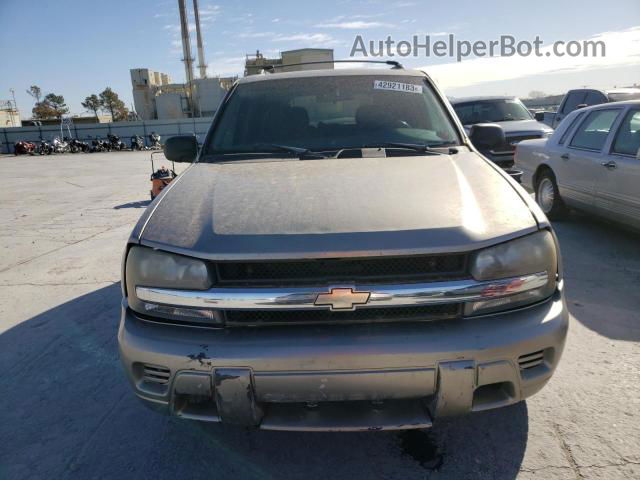 2002 Chevrolet Trailblazer  Silver vin: 1GNDS13S622495544