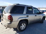 2002 Chevrolet Trailblazer  Silver vin: 1GNDS13S622495544