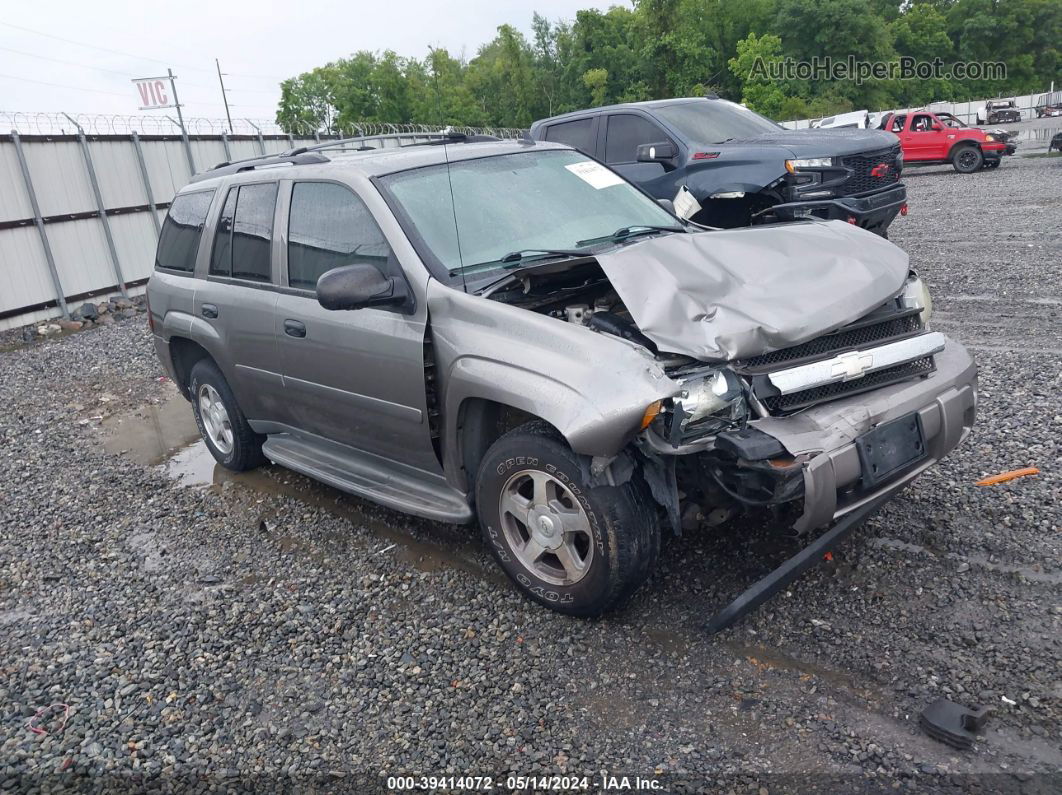 2006 Chevrolet Trailblazer Ls Серый vin: 1GNDS13S662105953