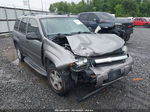 2006 Chevrolet Trailblazer Ls Серый vin: 1GNDS13S662105953