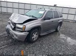 2006 Chevrolet Trailblazer Ls Серый vin: 1GNDS13S662105953